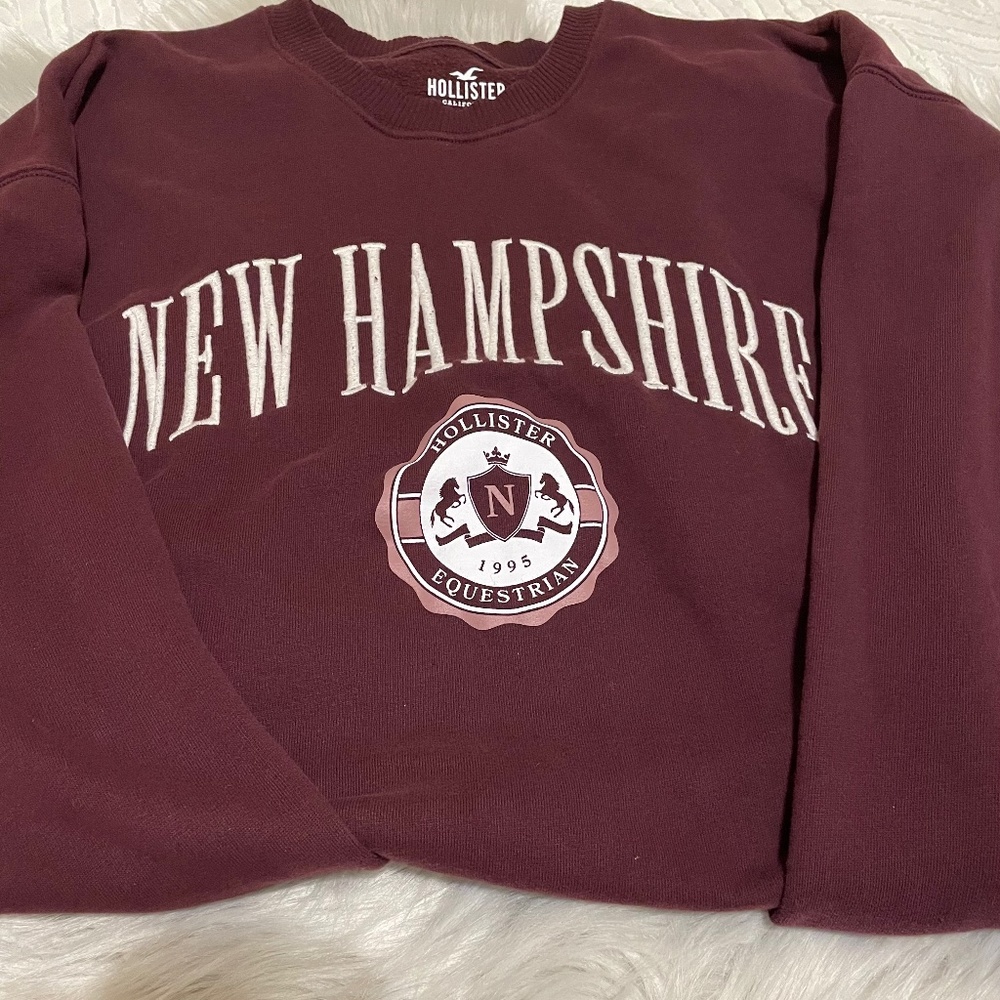 Hollister sweatshirt